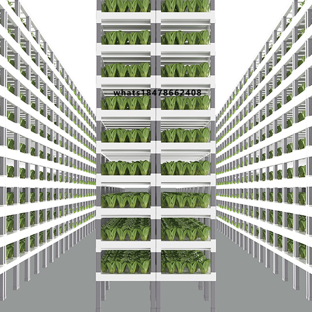 Farming & Agriculture Word Stacks - Sistema Hidropônico Inteligente Controlado por Aplicativo