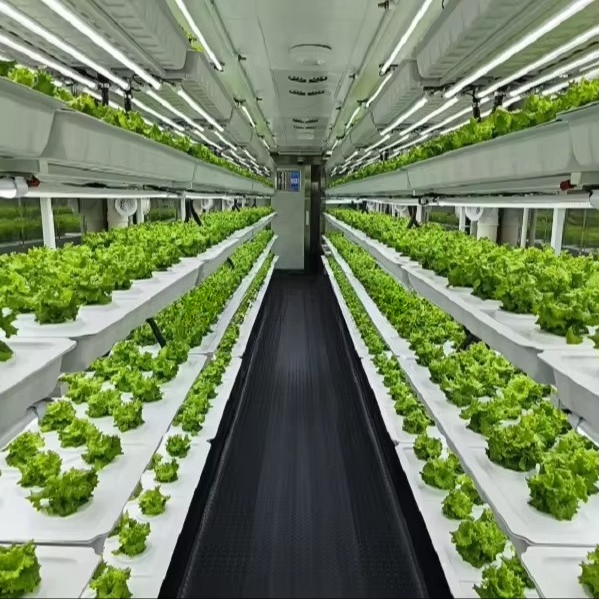 Sistema de Cultivo de Vegetais - Farming & Agriculture Word Stacks avaliação e preço